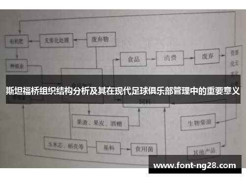 斯坦福桥组织结构分析及其在现代足球俱乐部管理中的重要意义
