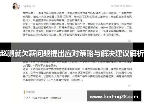 赵鹏就欠薪问题提出应对策略与解决建议解析