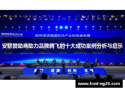 安联赞助商助力品牌腾飞的十大成功案例分析与启示