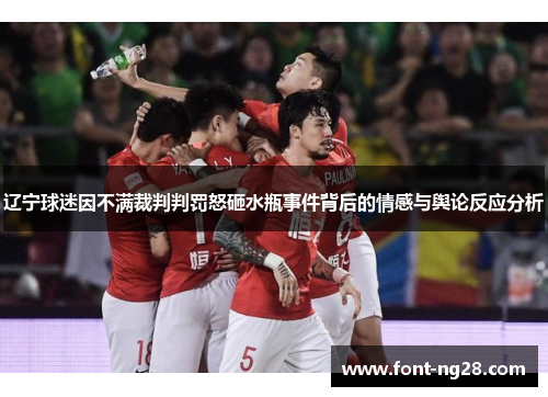 辽宁球迷因不满裁判判罚怒砸水瓶事件背后的情感与舆论反应分析
